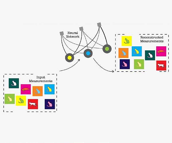 Artificial intelligence techniques reconstruct mysteries of quantum systems