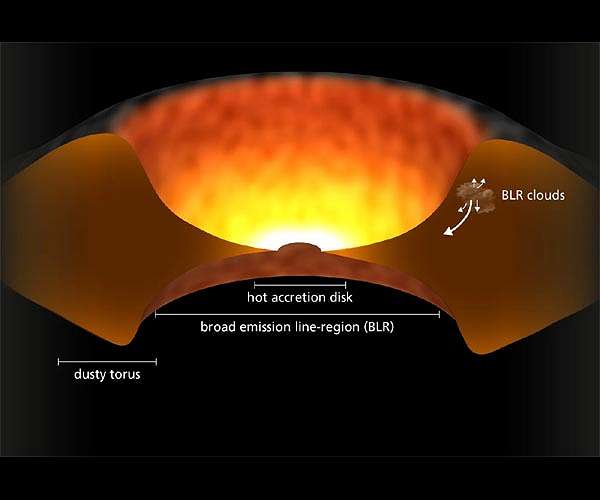 How to weigh a quasar