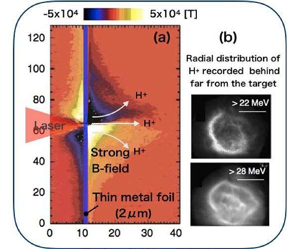 Mind your speed: A magnetic brake on proton acceleration