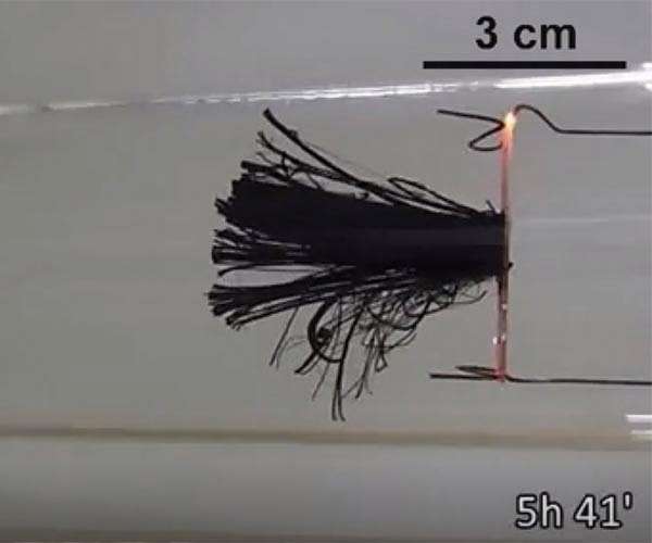Scientists grow carbon nanotube forest much longer than any other