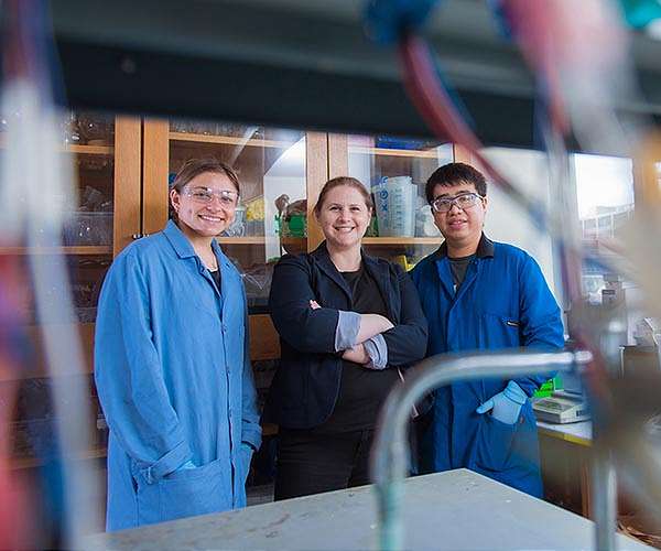 Turning carbon dioxide into valuable products