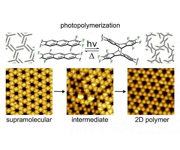New light on making two-dimensional polymers