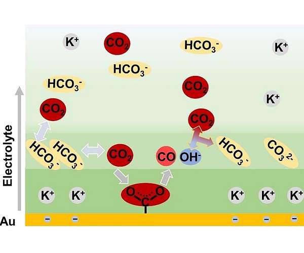 Enriched bicarbonate electrolytes show promise in combatting CO2 and the greenhouse effect