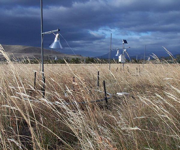 In wildfire prone areas, grasslands better than trees for carbon storage
