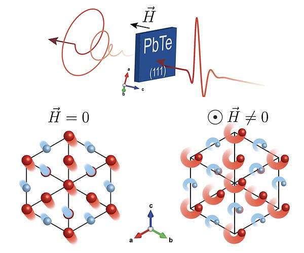 Strong magnets put new twist on phonons