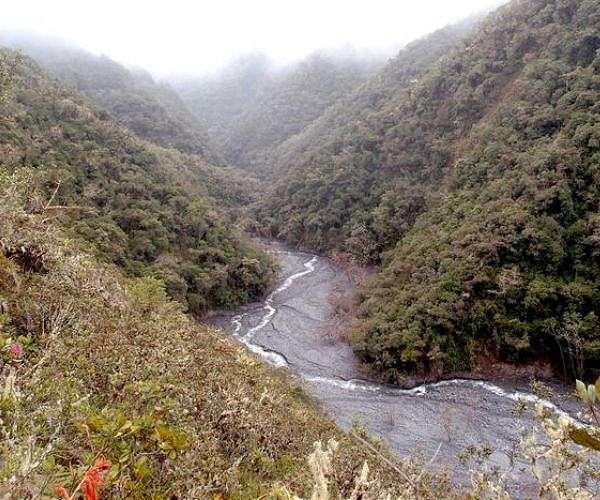Study sheds light on how Earth cycles fossil carbon