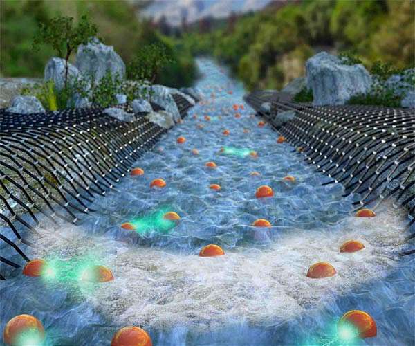 Weizmann physicists image electrons flowing like water