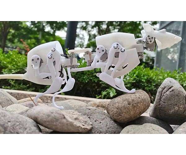 Introducing SQuRo, a novel small-sized robotic rat with high movement agility