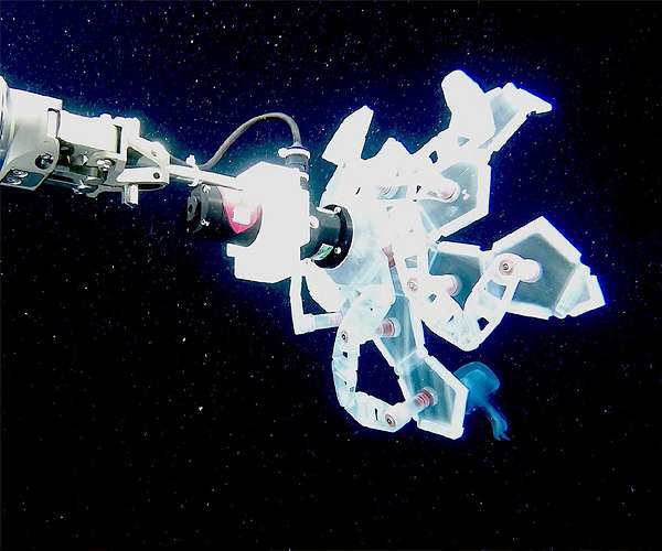 Origami-inspired device helps marine biologists study aliens