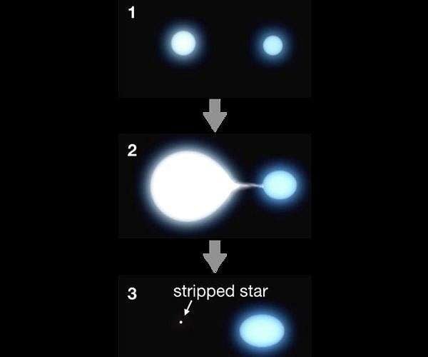 Binary star interactions key to solving hydrogen-poor supernova mystery