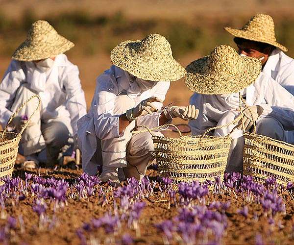 Hot or cold, rural residents more vulnerable to extreme temperatures