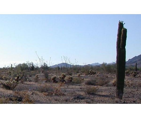 In US national parks, a historical wound begins to heal