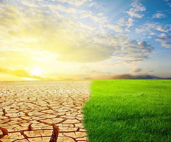 The greening of the Earth is approaching its limit