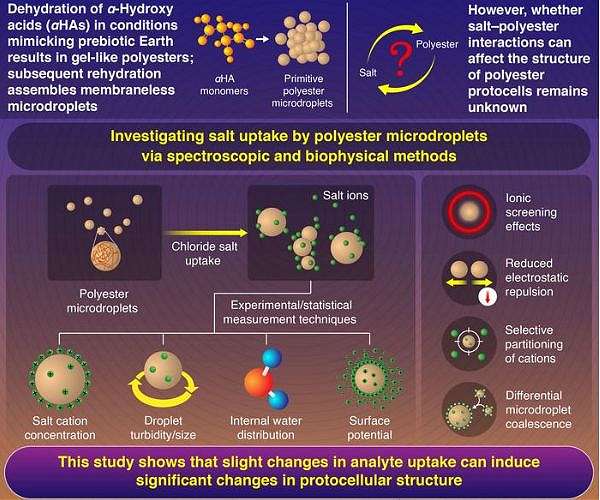 How Early Earth Supported the Formation of Polyester Protocells