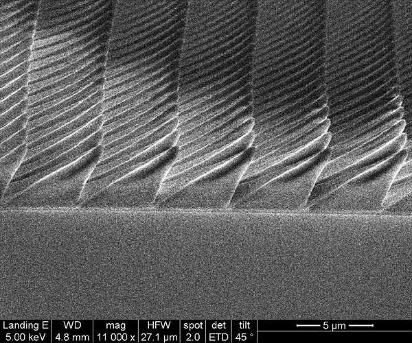Firefly-inspired surfaces improve efficiency of LED lightbulbs