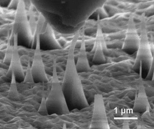 Bottom-up approach can synthesize microscopic diamonds for bioimaging, quantum computing