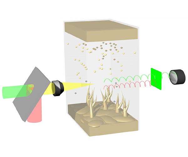 Looking inside the lithium battery's black box