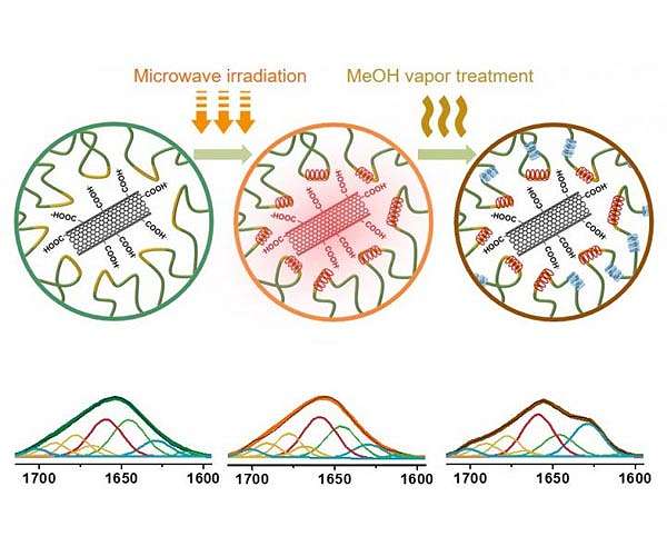 Making a transparent flexible material of silk and nanotubes