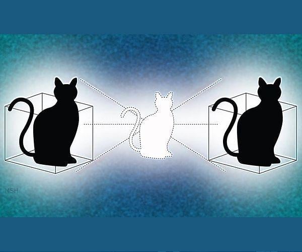 It started with a cat: How 100 years of quantum weirdness powers today's tech