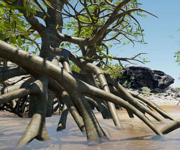 Archaeologists map hidden NT landscape where first Australians lived more than 60,000 years ago
