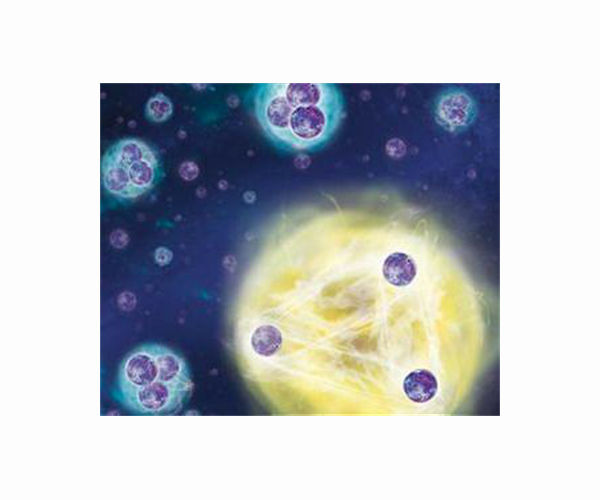 For the first time, scientists rigorously calculate three-particle scattering from theory