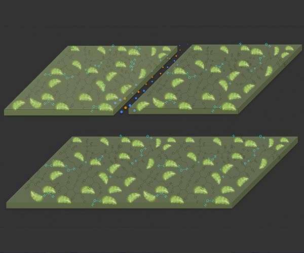 Self-healing material can build itself from carbon in the air