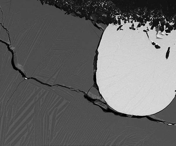 How and when was carbon distributed in the Earth?