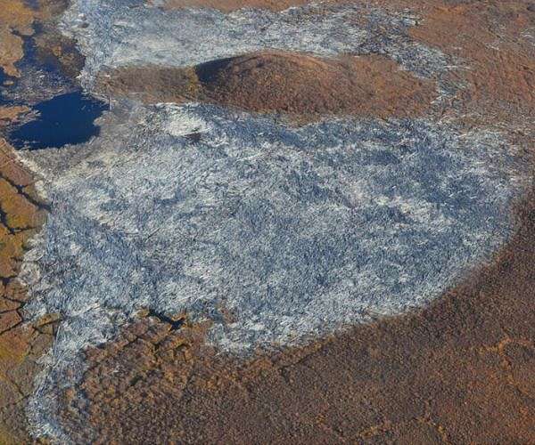 World's biggest cumulative logjam mapped in Arctic