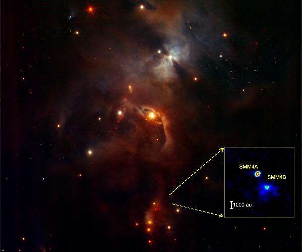 Precise records of baby stars' growth caught at millimeter wavelengths