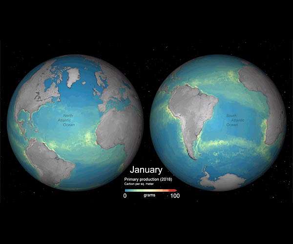 Human activity disrupting ocean CO2 absorption: study