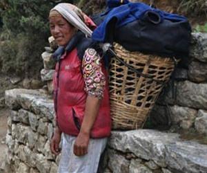 The genetic origins of high-altitude adaptations in Tibetans