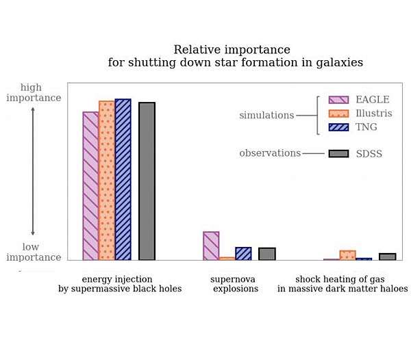 Supermassive black holes put a brake on stellar births