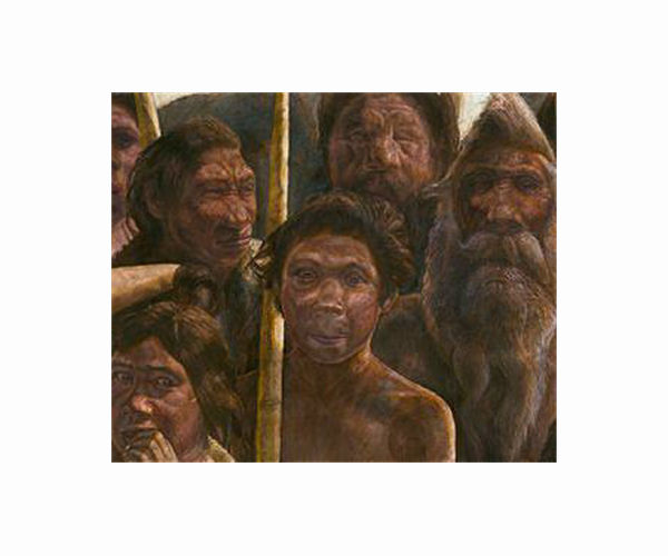 Hominins were walking like Homo sapiens earlier than scientists thought