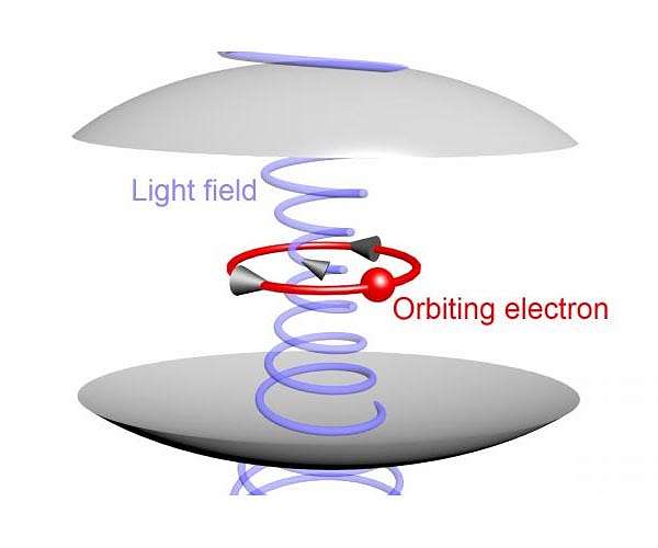 Quantum shift shows itself in coupled light and matter