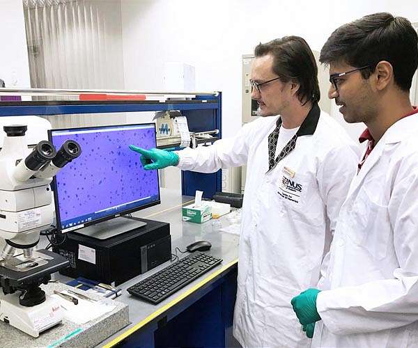 NUS researchers offer solution in fight against fake graphene