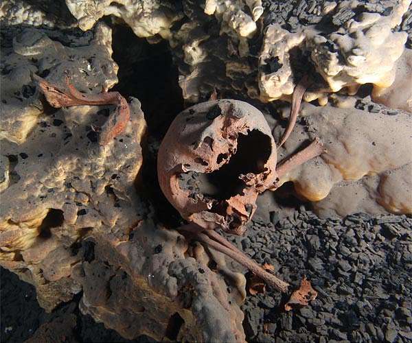 Early North Americans may have been more diverse than previously suspected