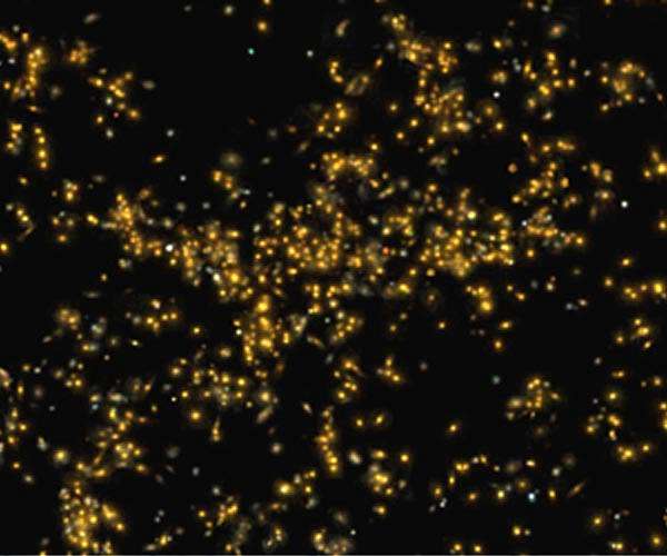 Sloan Digital Sky Survey marks 20 years of observations