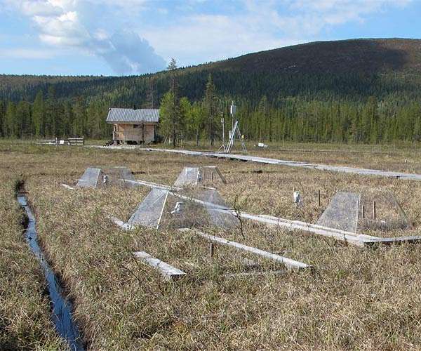 Climate change impacts peatland CO2 gas exchange primarily via moisture conditions