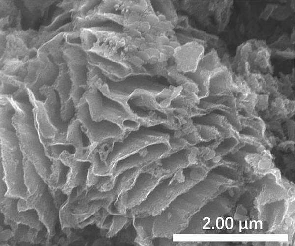 Capturing carbon with energy-efficient sodium carbonate-nanocarbon hybrid material