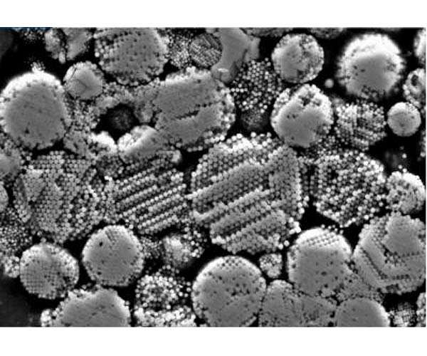 Scientists reveal solar system's oldest molecular fluids could hold the key to early life