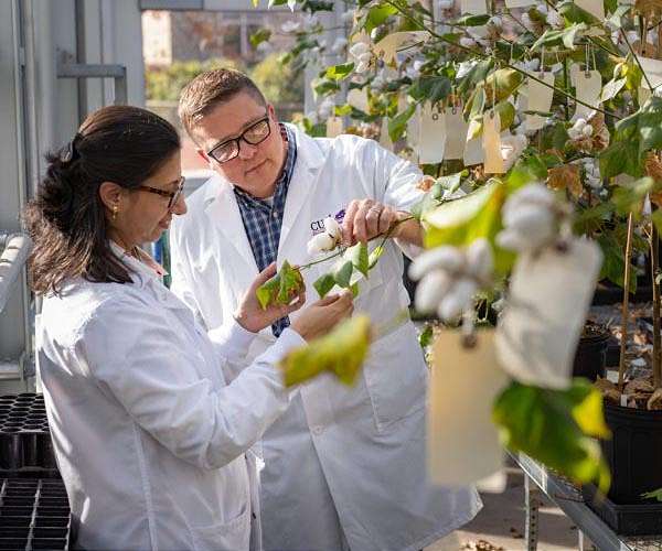 Space-bound research a step toward feeding Earth's people