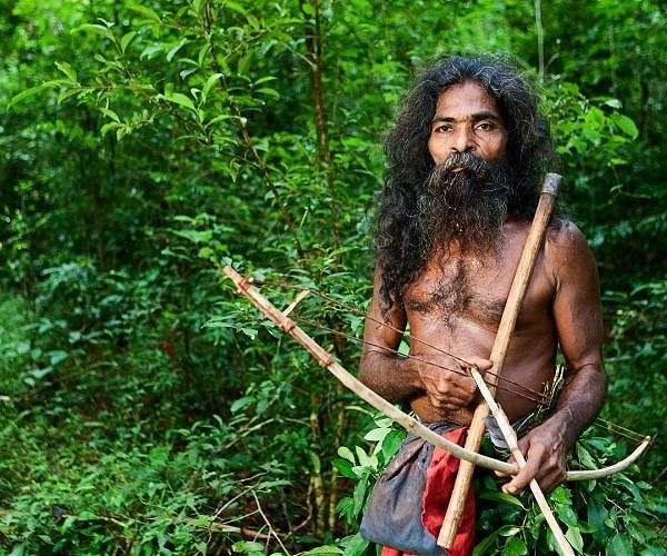 Thailand's last hunter-gatherers seek land rights