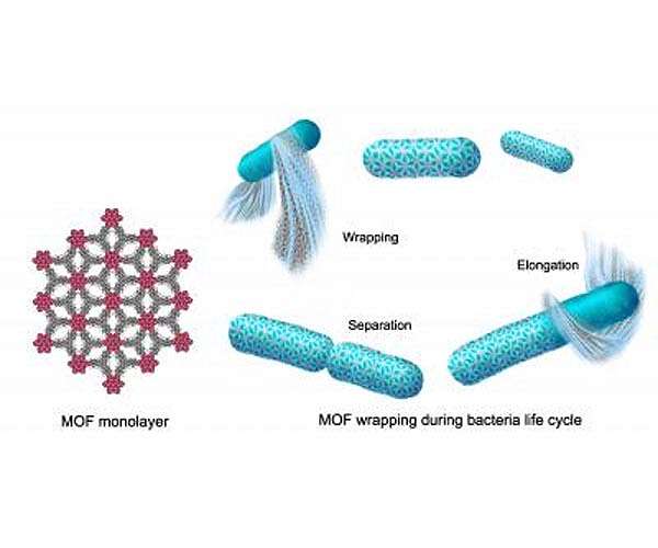 'Spacesuits' protect microbes destined to live in space
