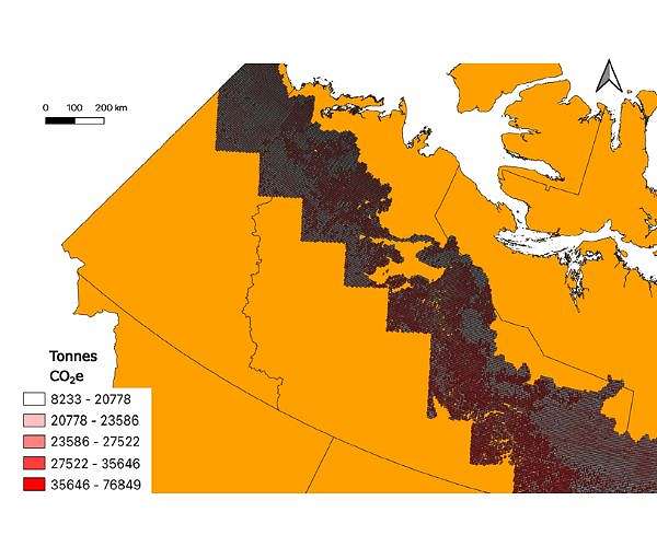 Targeted northern tree planting could deliver major carbon drawdown for Canada