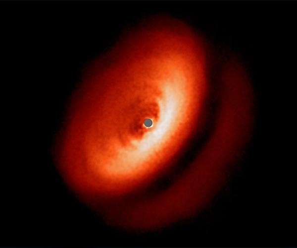 SPHERE Reveals Fascinating Zoo of Discs Around Young Stars
