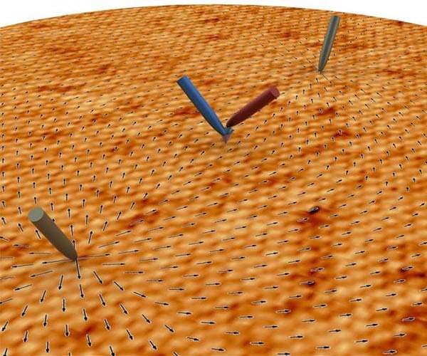 Using "shallow shadows" to uncover quantum properties