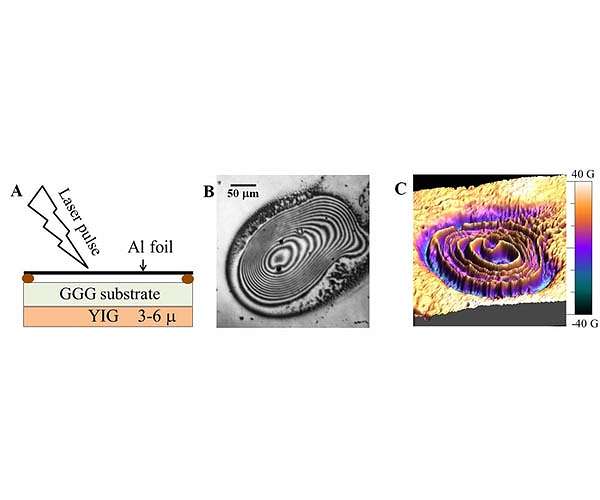 Giant magnetic pulse rounds up spins far and wide