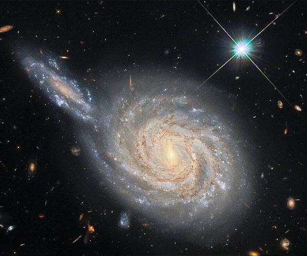 Too many disk galaxies than theory allows
