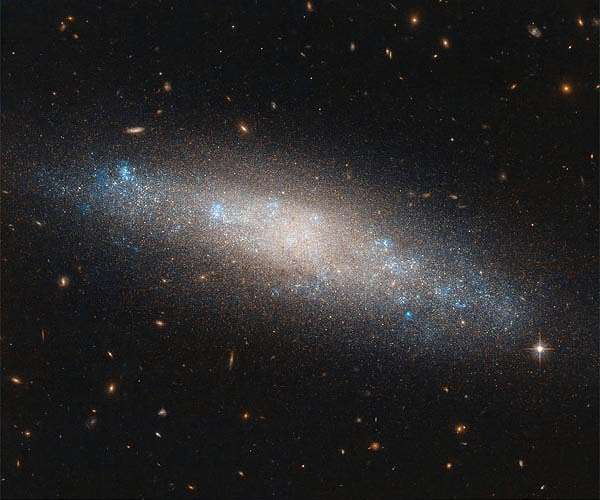 Hubble sights galaxy's celestial sequins