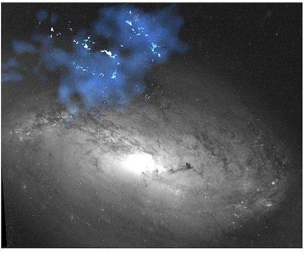 New galaxy sheds light on how stars form
